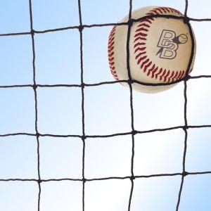 Baseball Backstop Nets (150+ Sizes) Pro Grade Netting