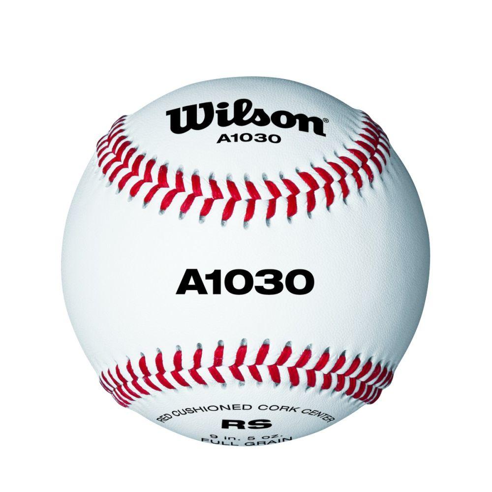 Wilson HS Practice / Youth Game Balls